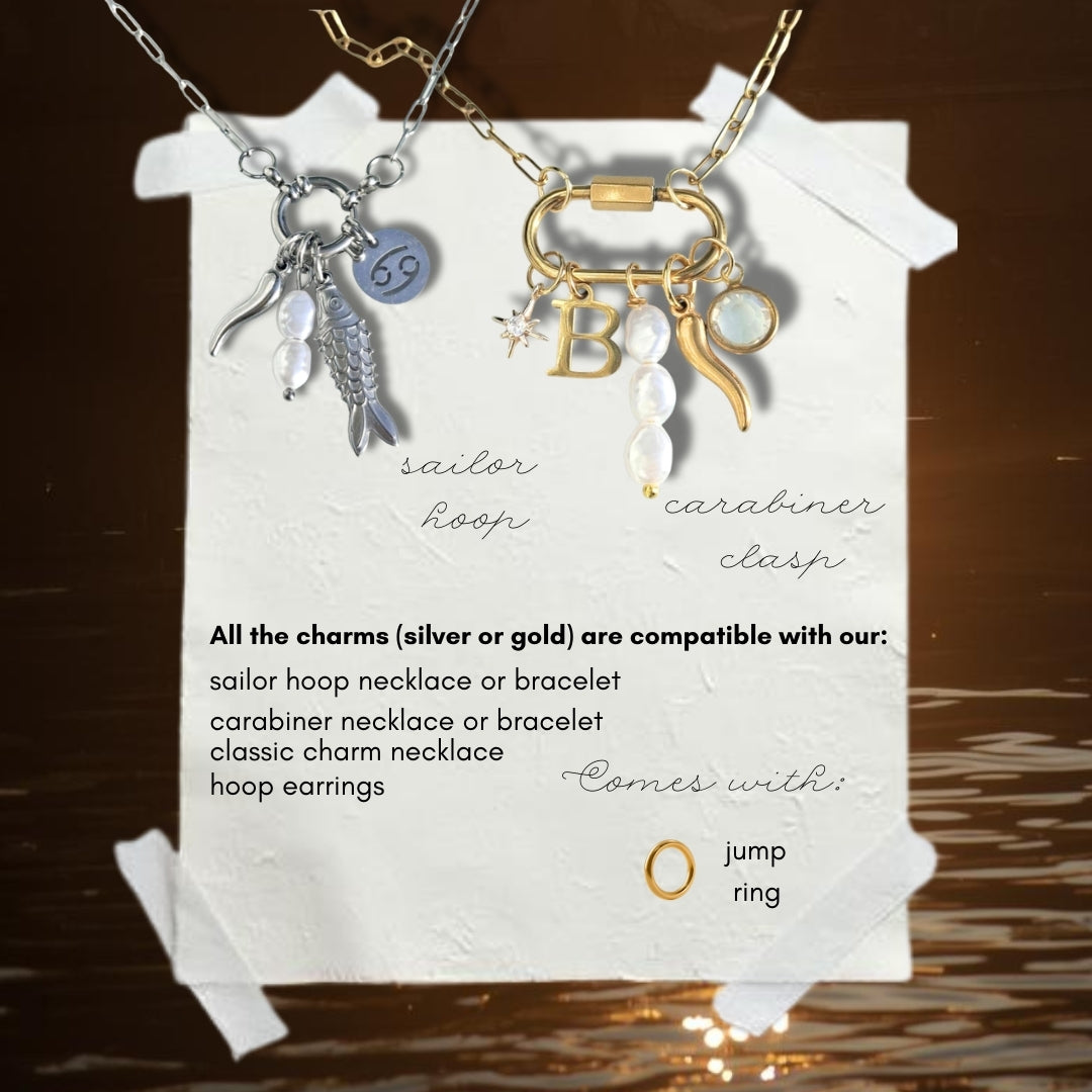 All Star Sign Charm (Silver/Gold) compatible with our necklaces, bracelets