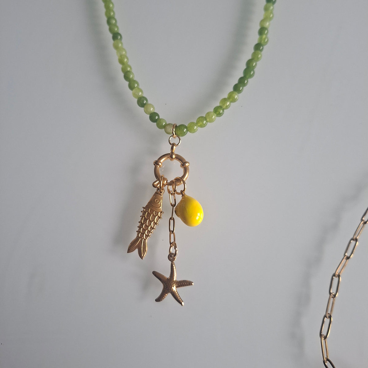 Fish Necklace with Stone, Lemon, Starfish Hoop