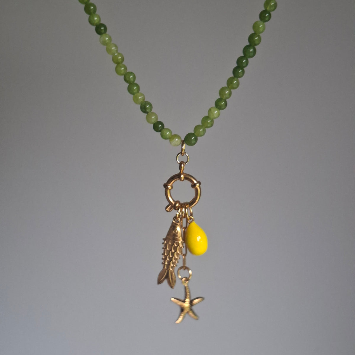 Fish Necklace with Stone, Lemon, Starfish Hoop